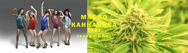 крисы Корсаков
