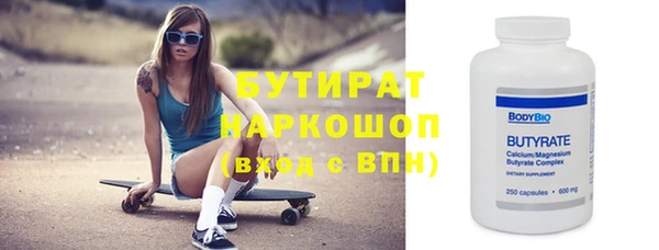 крисы Корсаков