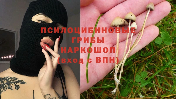 мдпв Коряжма